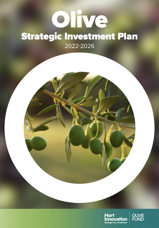 Olive Strategic Investment Plan 2022-26